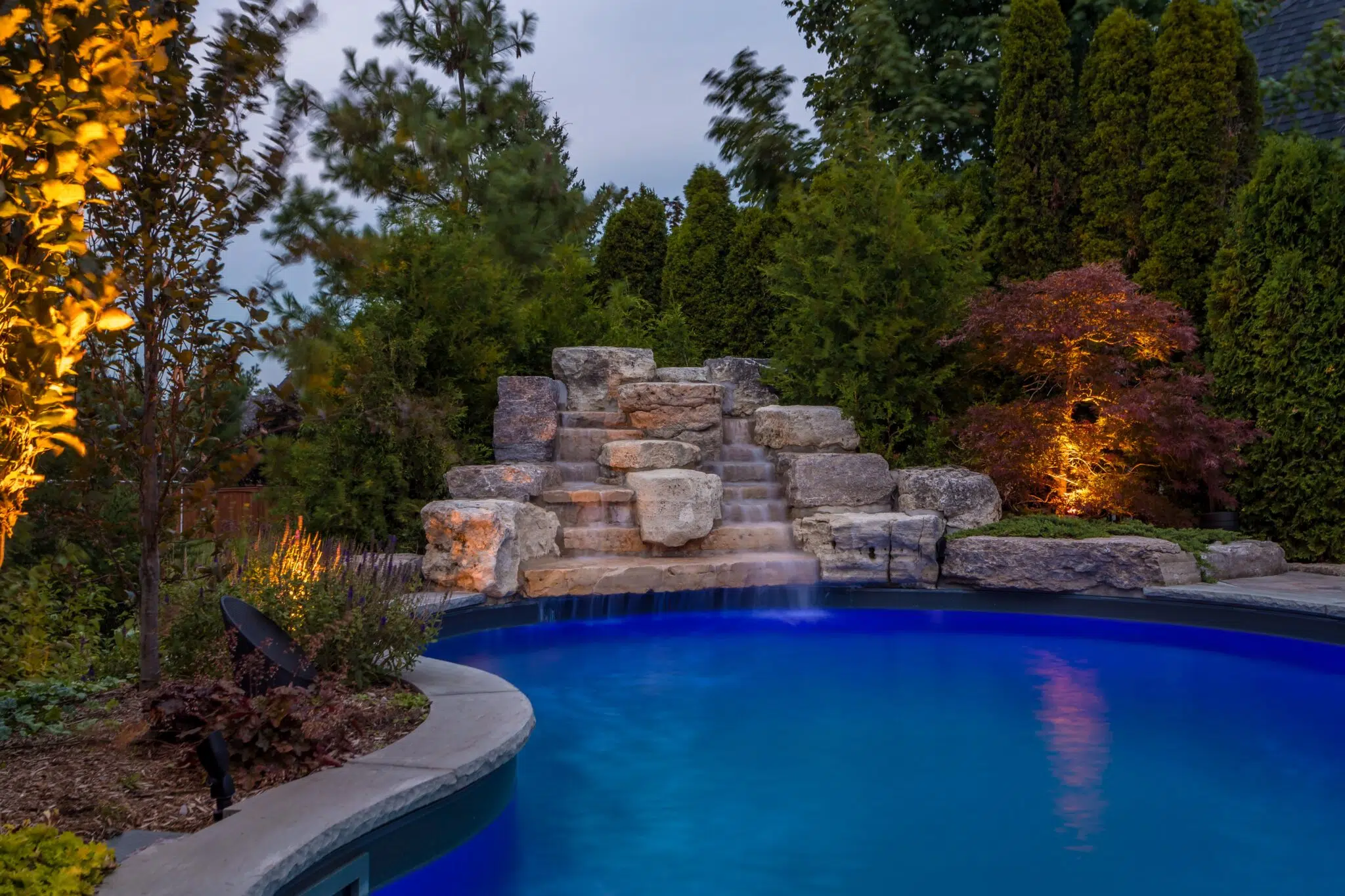 partridge-evening-paradise-gallery-20 partridge-evening-paradise-gallery-20